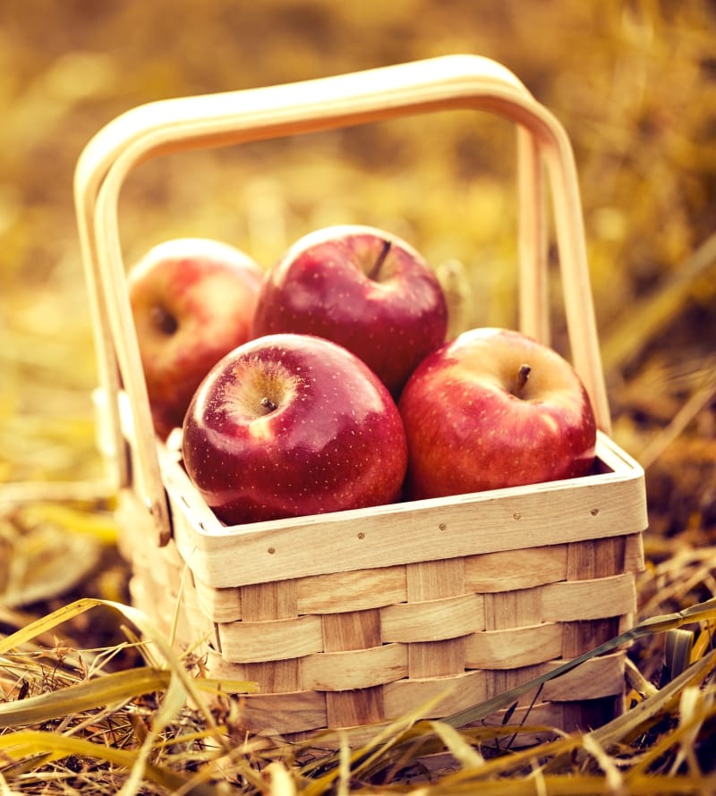 WhatsApp Image 2026-03-02 at 09.36.45 (5)