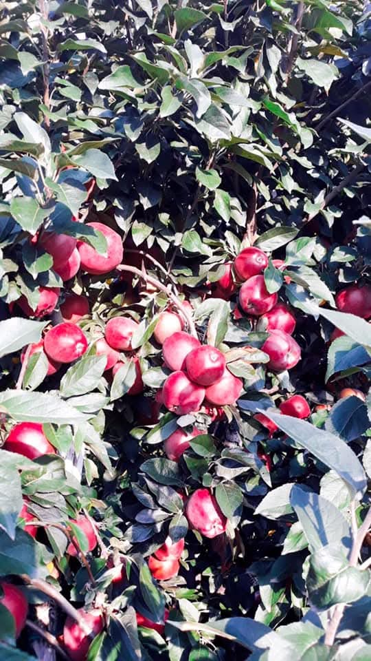 WhatsApp Image 2026-03-02 at 09.36.45