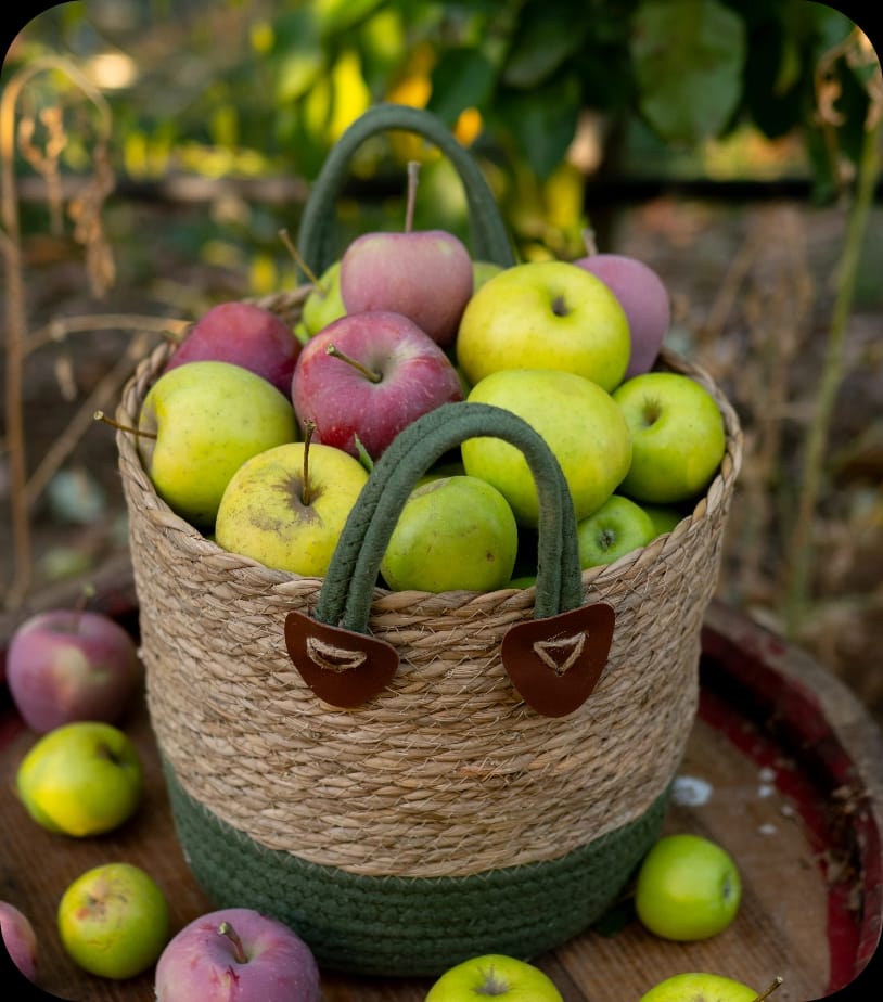 WhatsApp Image 2026-03-02 at 09.36.46 (3)