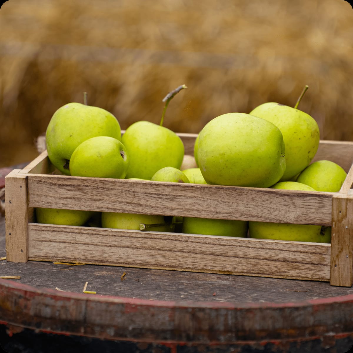 WhatsApp Image 2026-03-02 at 09.36.46 (7)