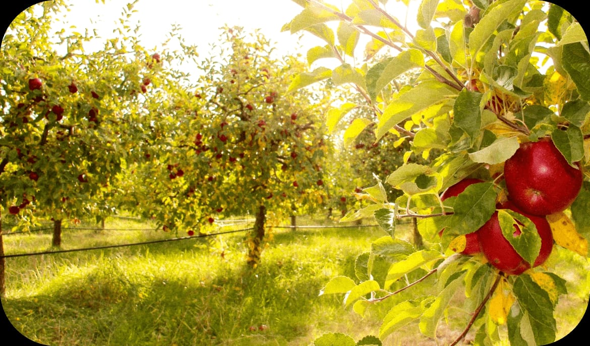 WhatsApp Image 2026-03-02 at 09.36.46