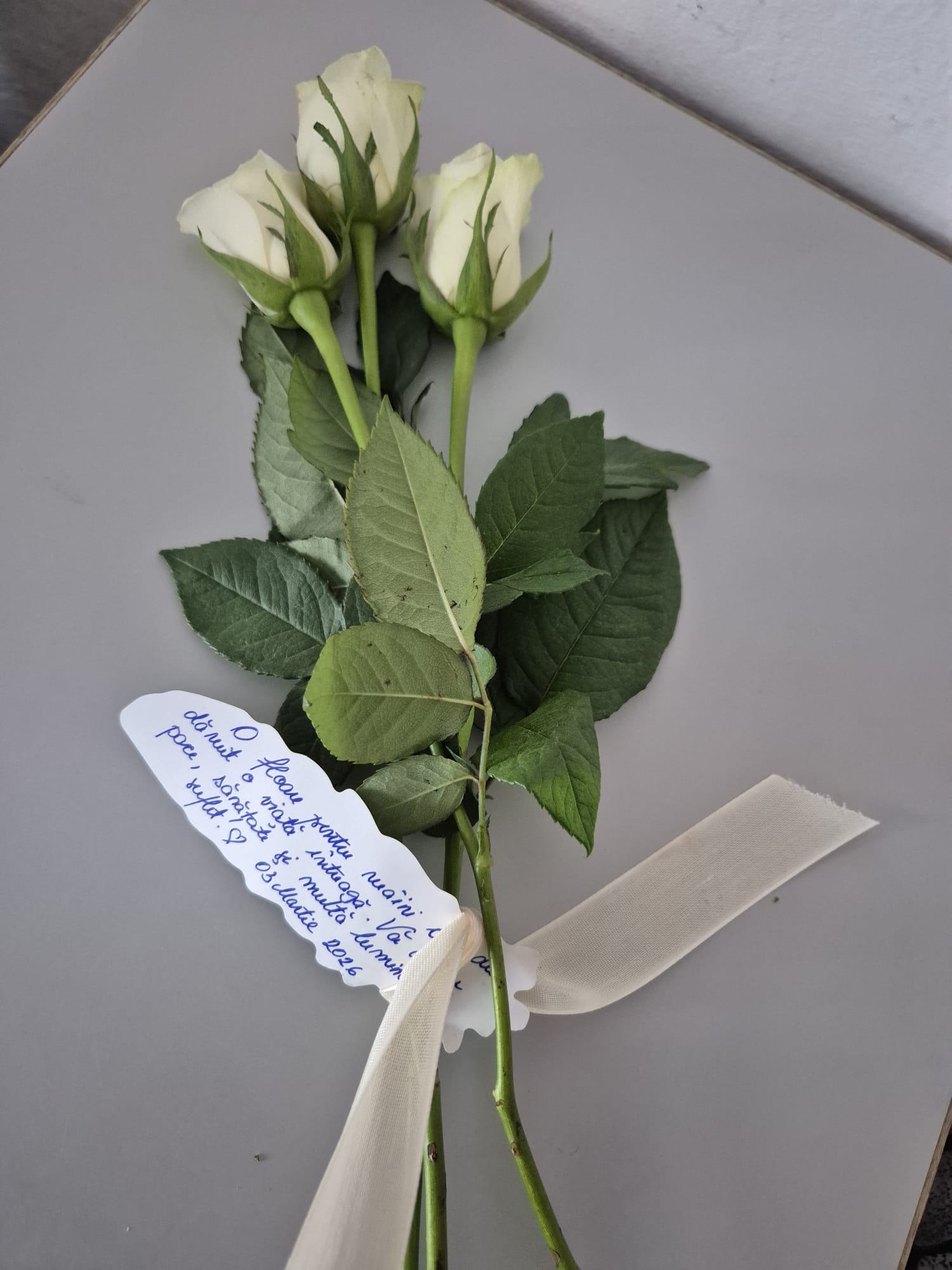 WhatsApp Image 2026-03-03 at 17.45.13 (3)