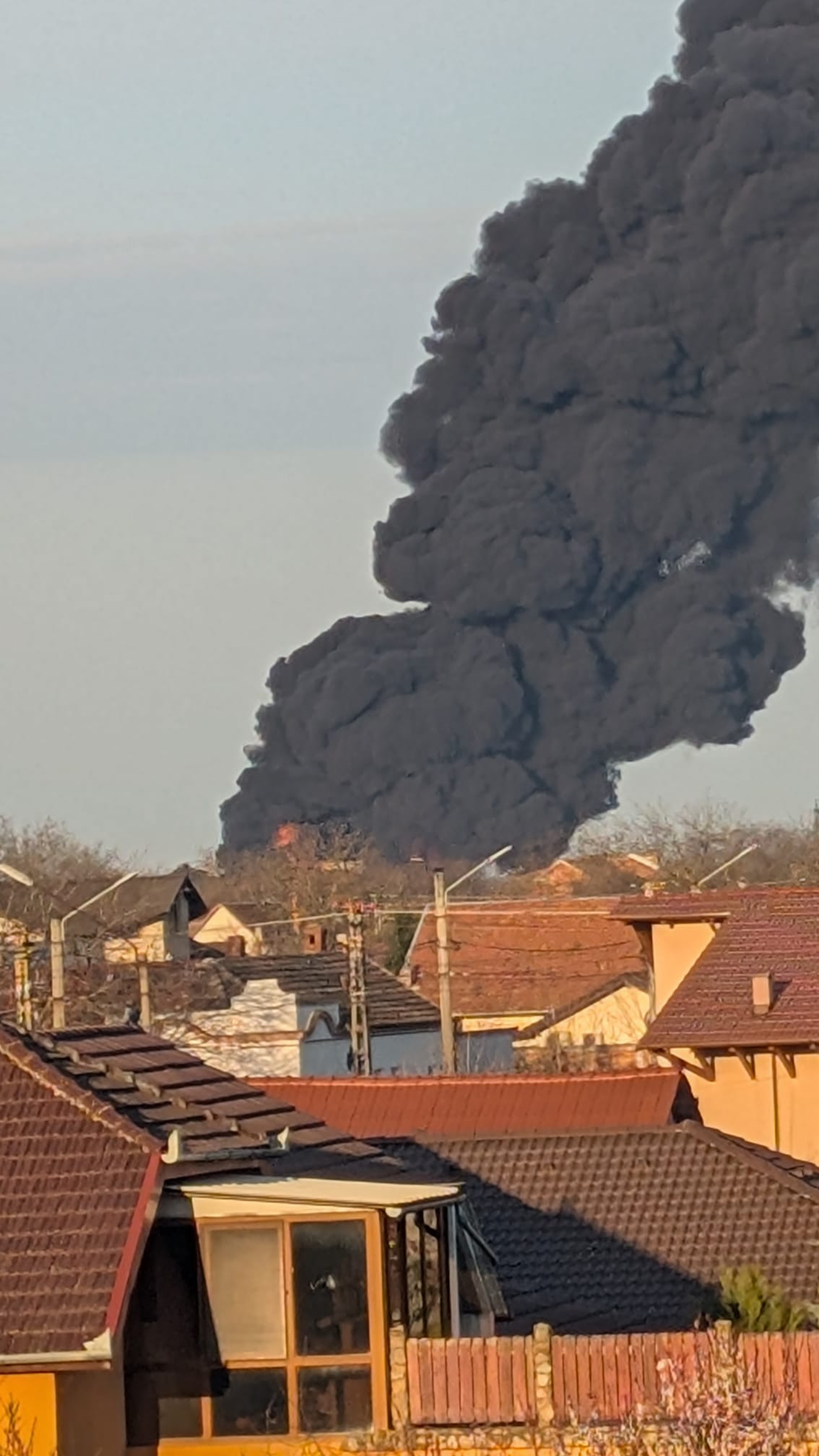 WhatsApp Image 2026-03-11 at 7.50.50 AM (2)