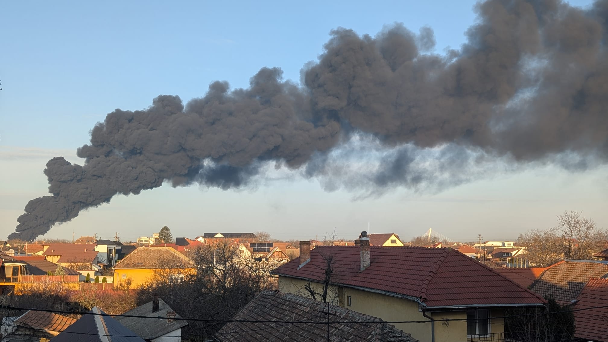 WhatsApp Image 2026-03-11 at 7.50.50 AM (3)