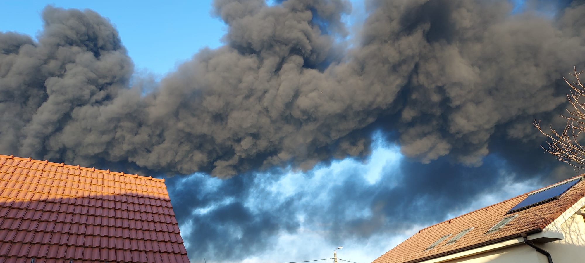 WhatsApp Image 2026-03-11 at 7.58.02 AM