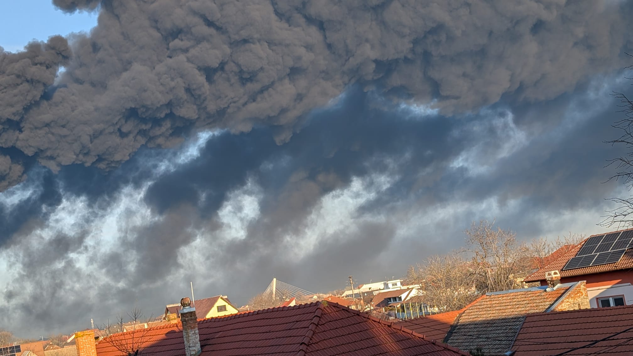 WhatsApp Image 2026-03-11 at 8.09.46 AM