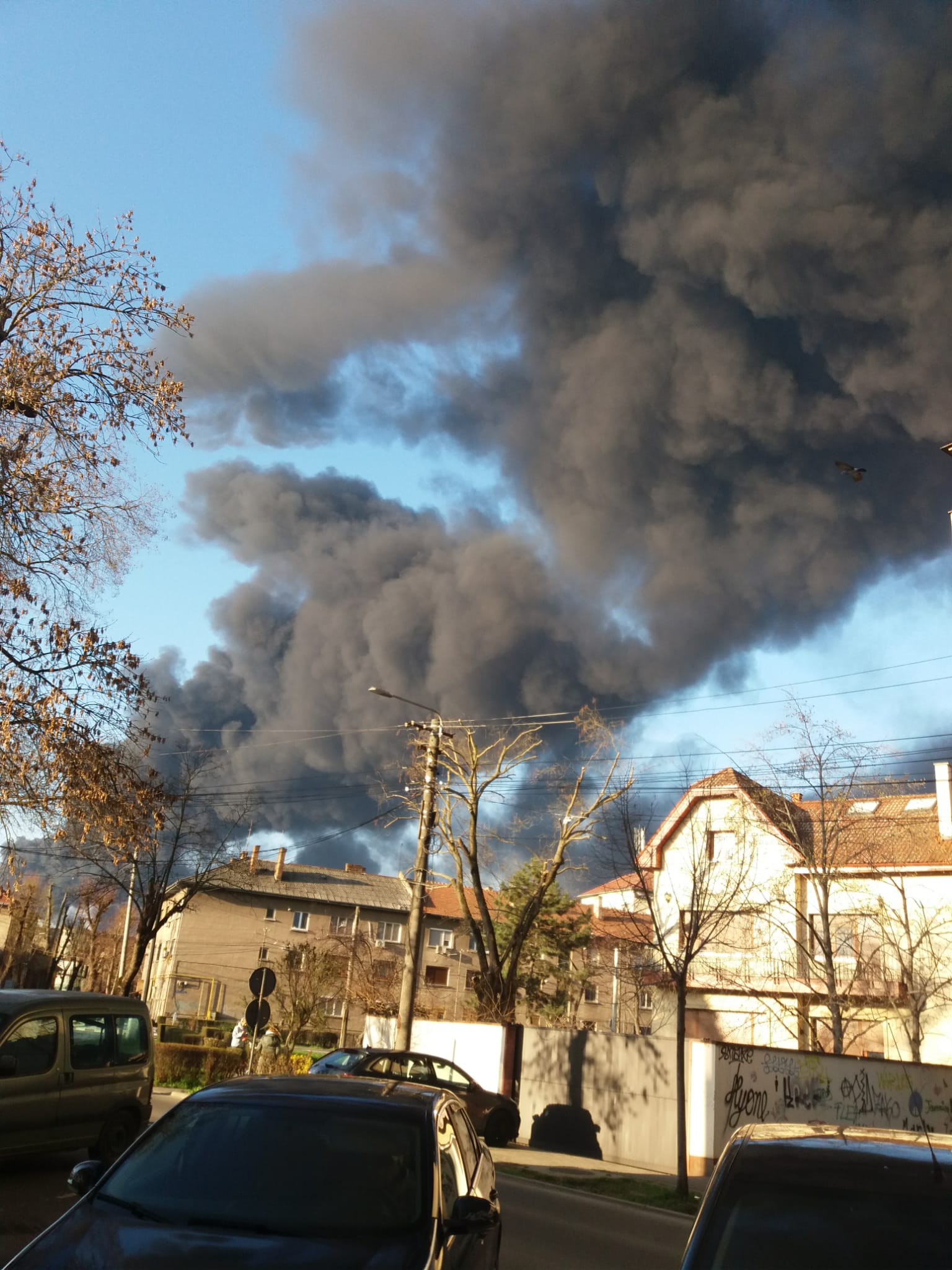 WhatsApp Image 2026-03-11 at 8.13.06 AM