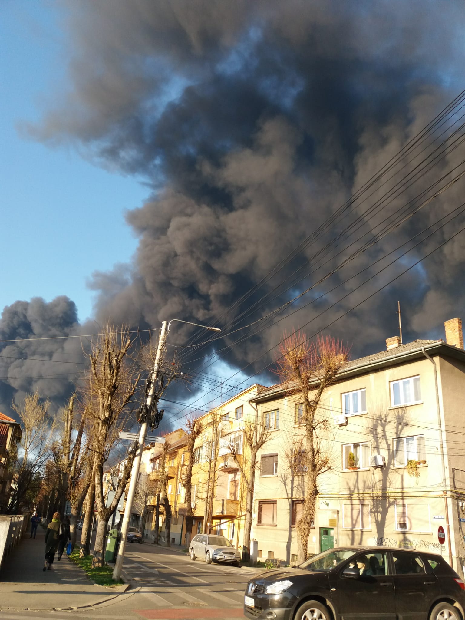 WhatsApp Image 2026-03-11 at 8.15.07 AM