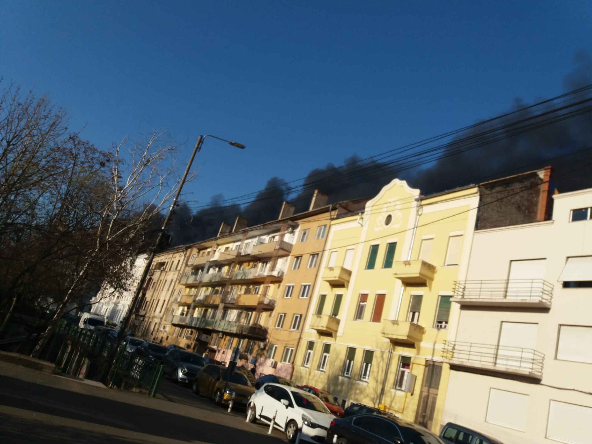 WhatsApp Image 2026-03-11 at 8.23.29 AM