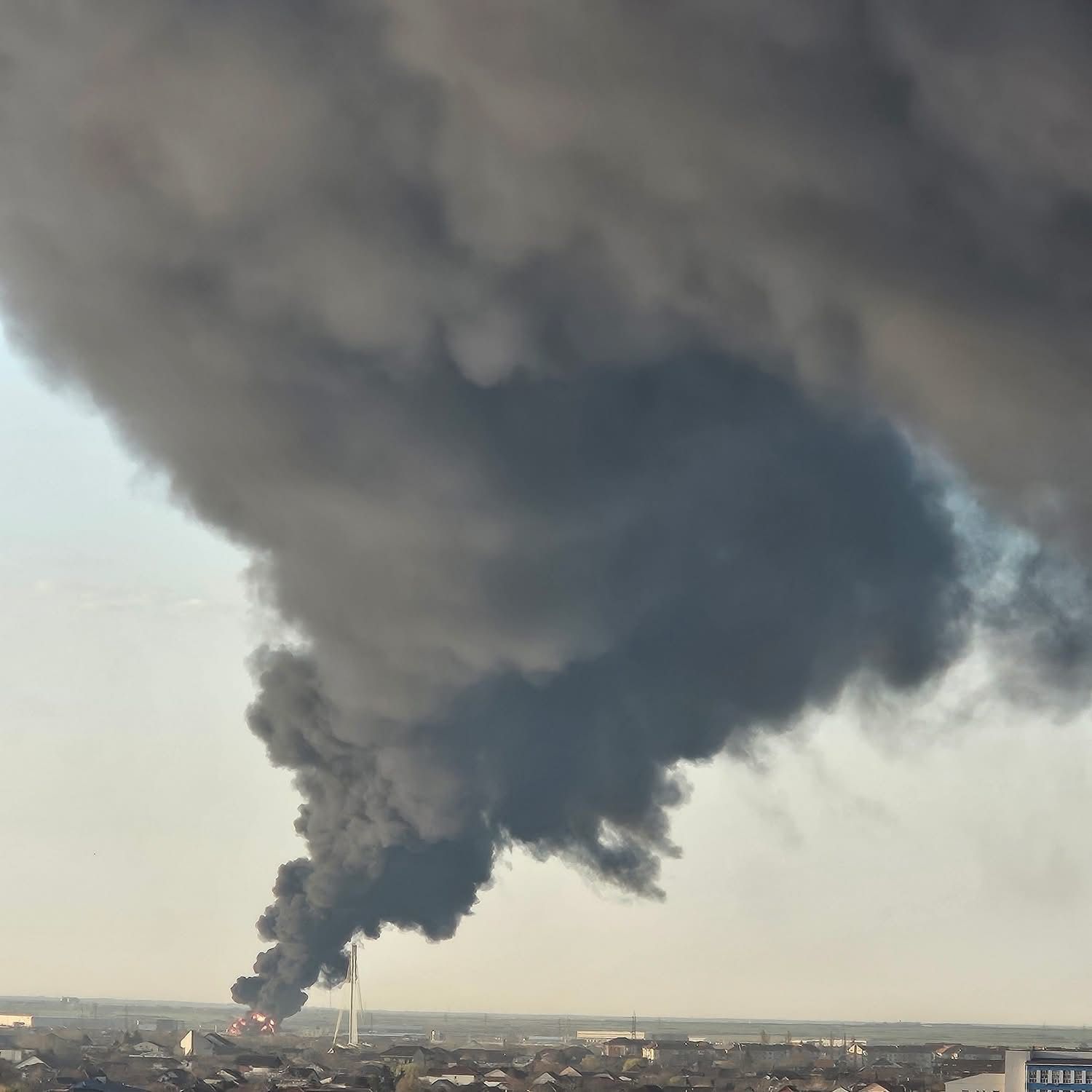 WhatsApp Image 2026-03-11 at 8.29.56 AM (2)