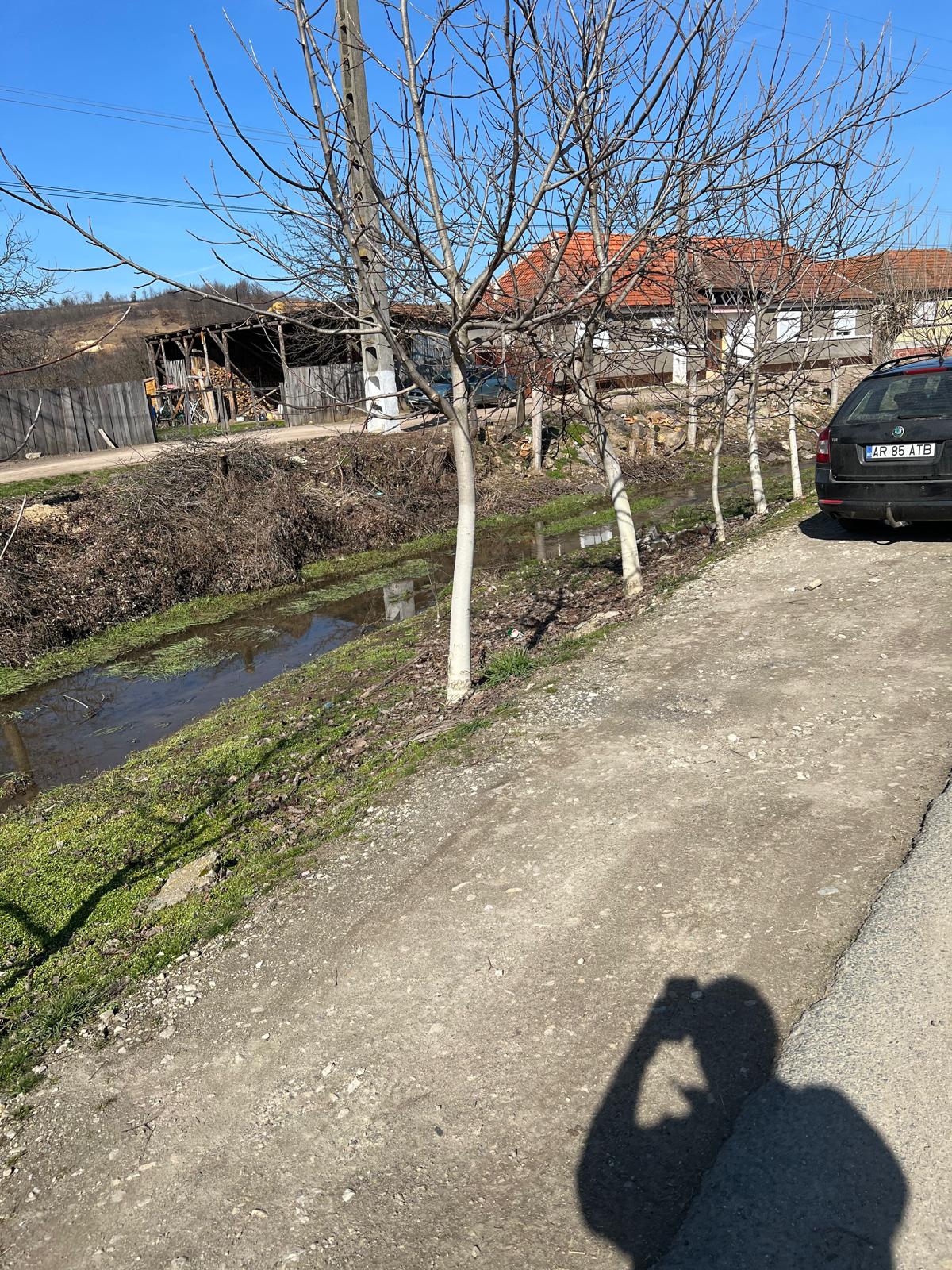 e587af6b-cac5-4c63-81ff-4928c6fc8581