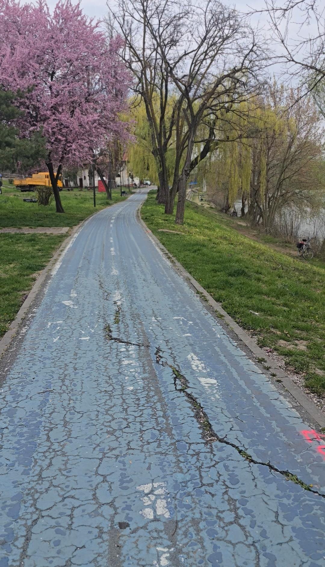 WhatsApp Image 2026-03-25 at 3.13.53 PM (7)