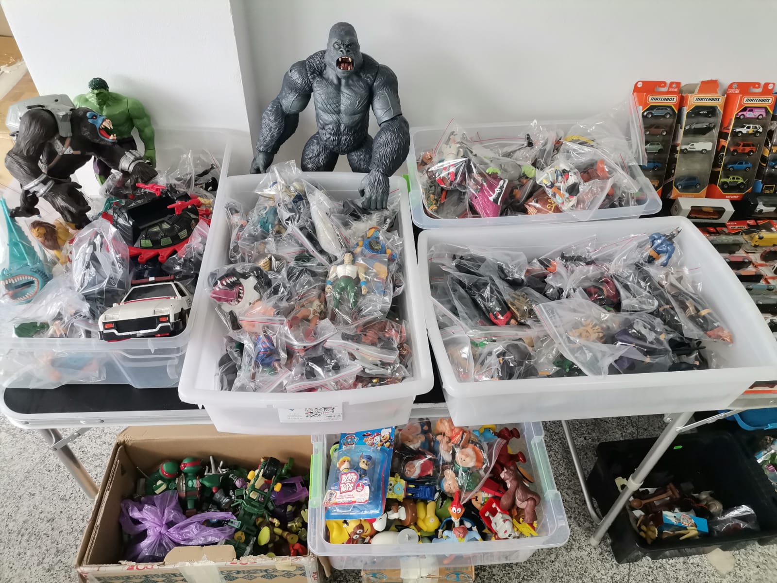 WhatsApp Image 2026-03-28 at 11.26.15