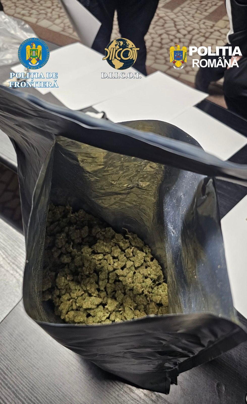 WhatsApp Image 2026-03-30 at 16.08.59