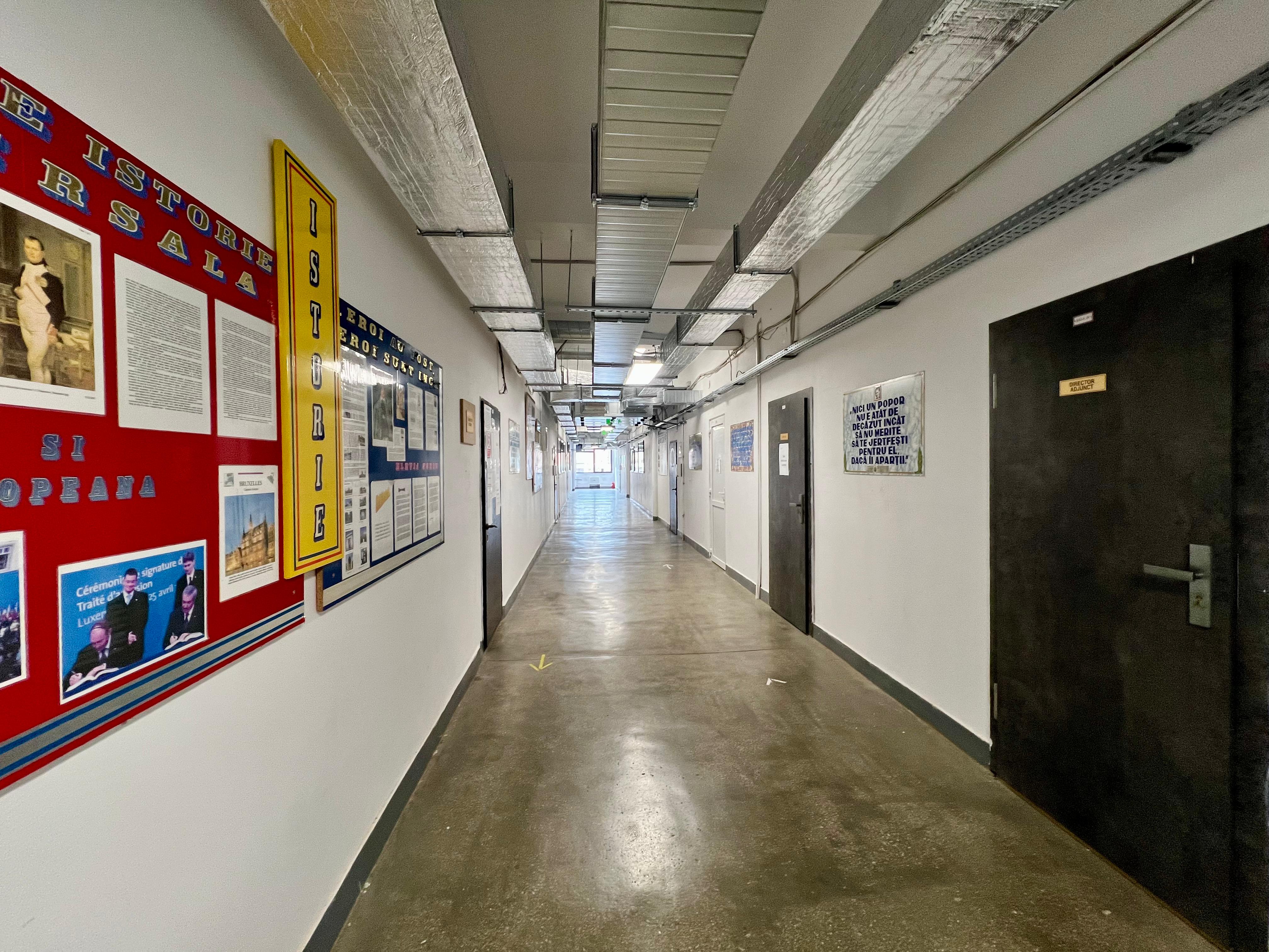 WhatsApp Image 2026-03-31 at 15.31.10