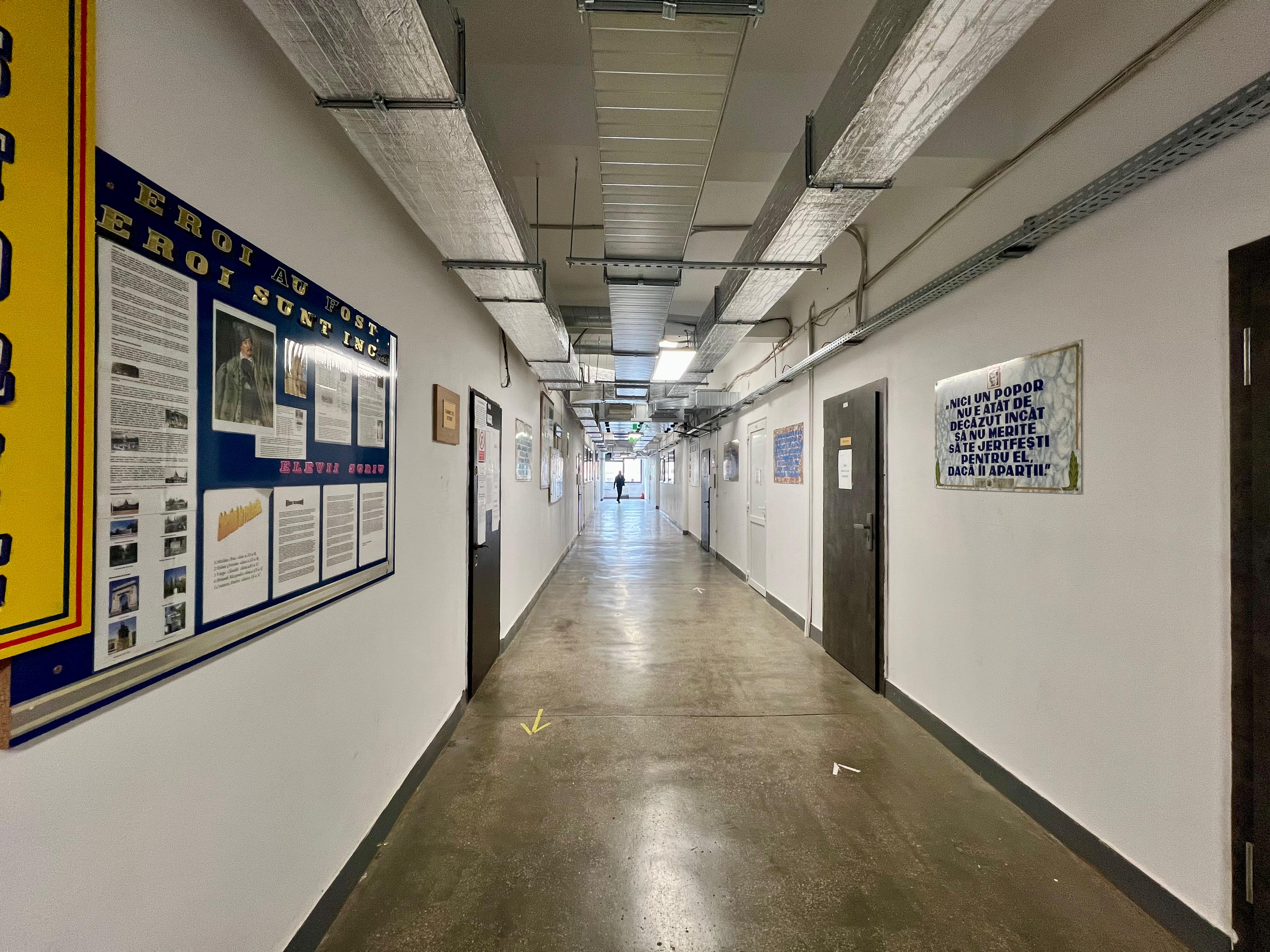 WhatsApp Image 2026-03-31 at 15.31.11