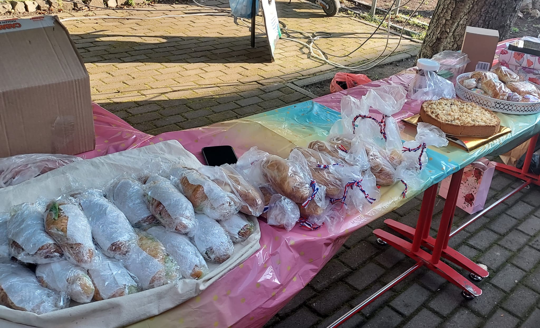 WhatsApp Image 2026-04-01 at 2.06.09 PM (1)