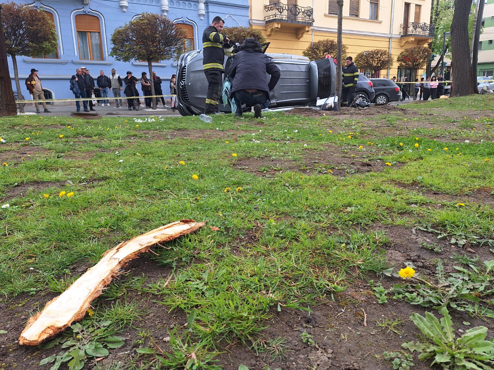 WhatsApp Image 2026-04-03 at 3.33.44 PM