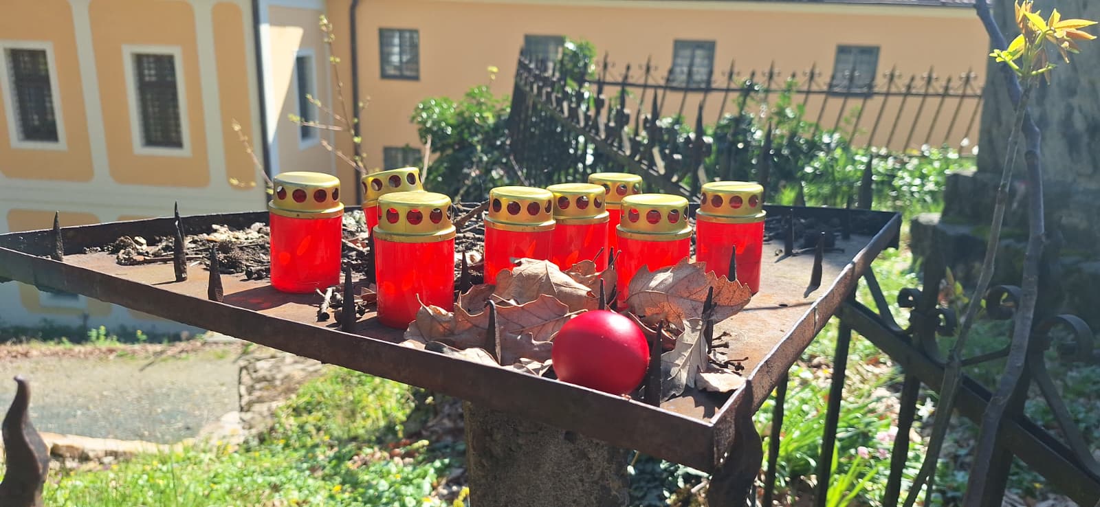 WhatsApp Image 2026-04-05 at 2.08.26 PM (1)