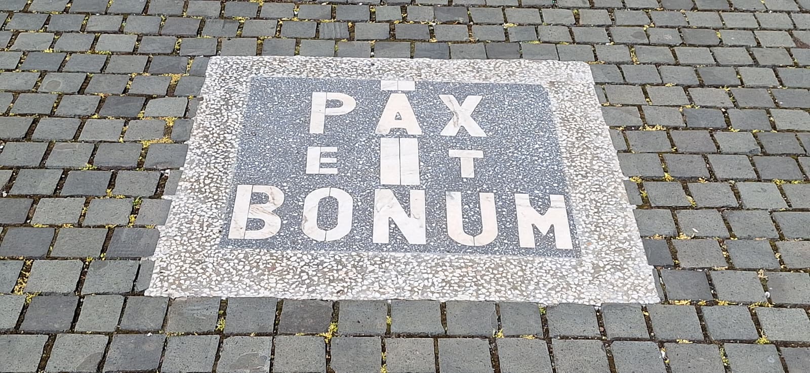 WhatsApp Image 2026-04-05 at 2.08.26 PM (4)