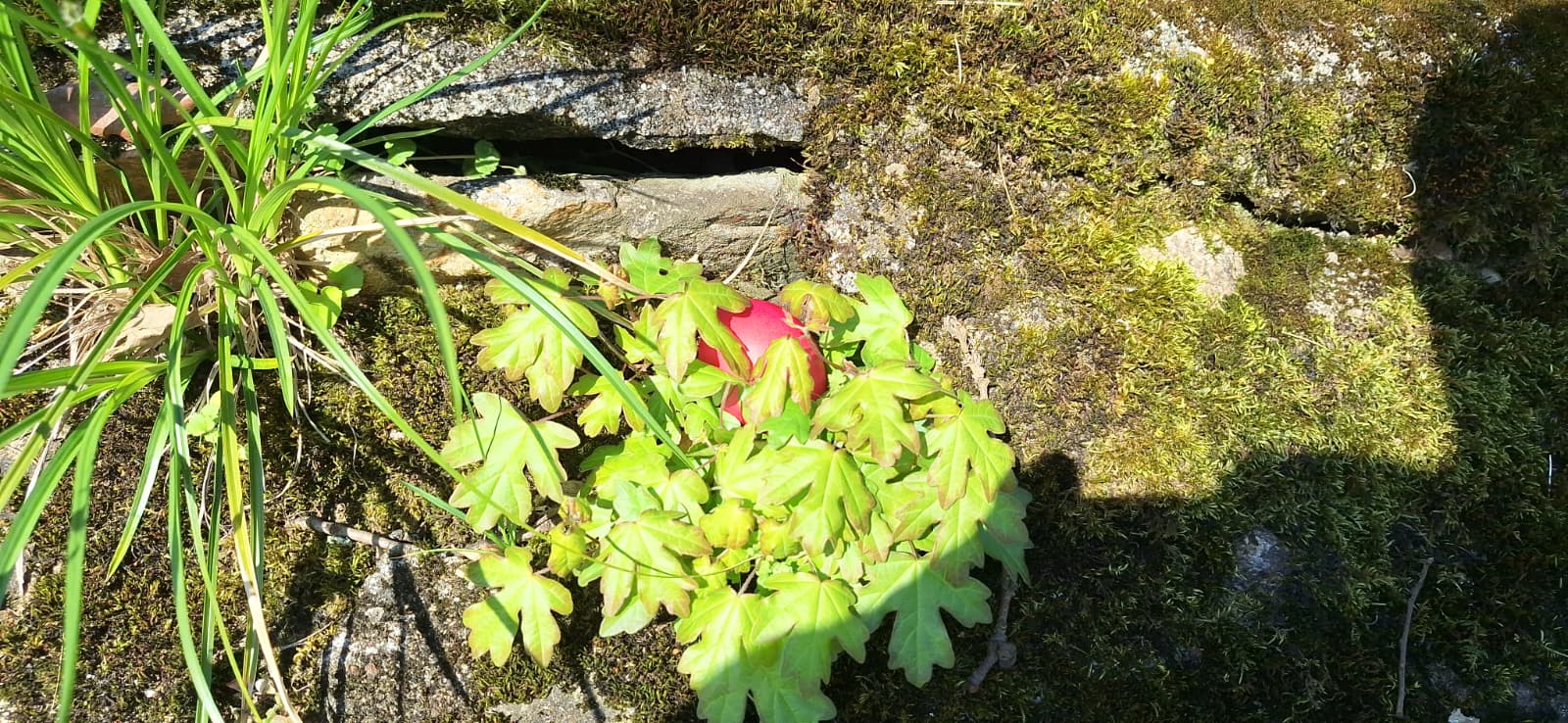 WhatsApp Image 2026-04-05 at 2.08.26 PM (7)