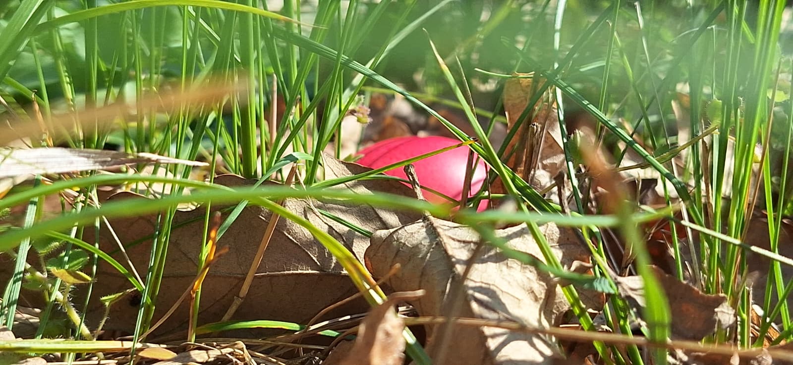 WhatsApp Image 2026-04-05 at 2.08.27 PM (3)