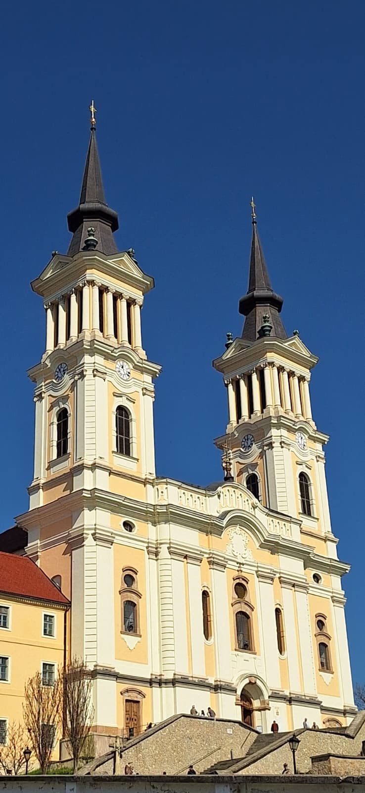 WhatsApp Image 2026-04-05 at 2.08.27 PM (6)