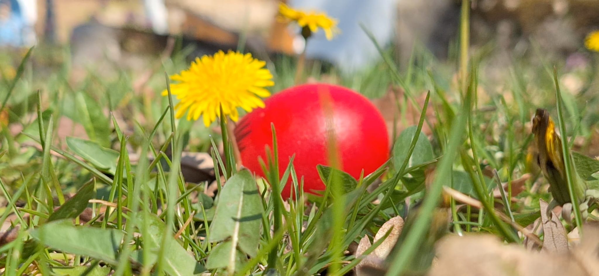 WhatsApp Image 2026-04-05 at 2.08.28 PM (4)