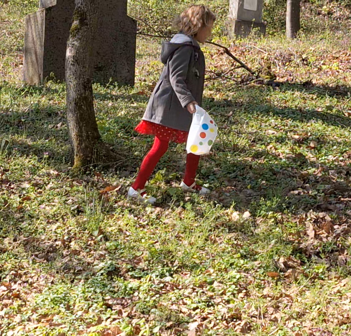 WhatsApp Image 2026-04-05 at 2.08.28 PM