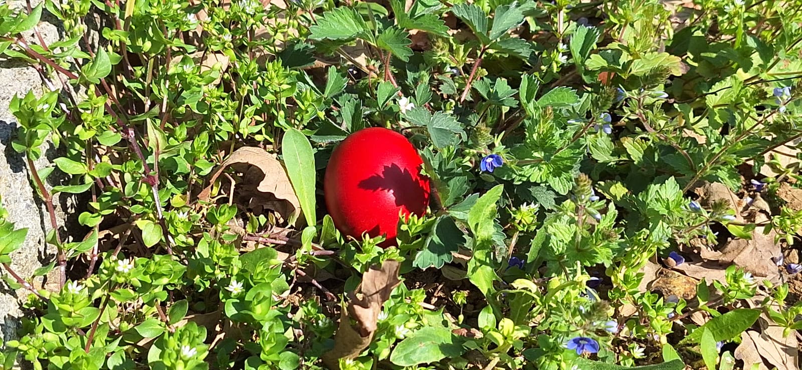 WhatsApp Image 2026-04-05 at 2.08.29 PM (4)