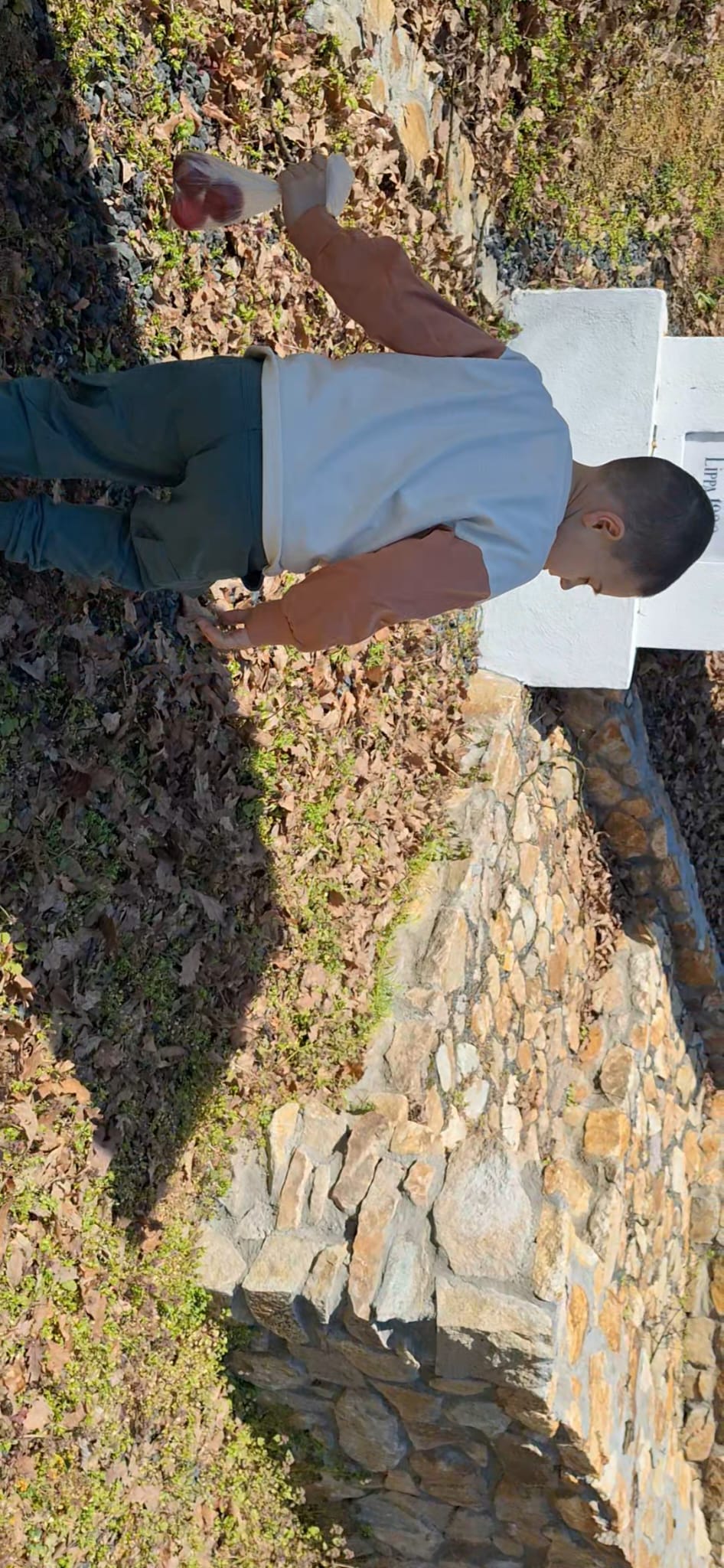 WhatsApp Image 2026-04-05 at 2.08.33 PM