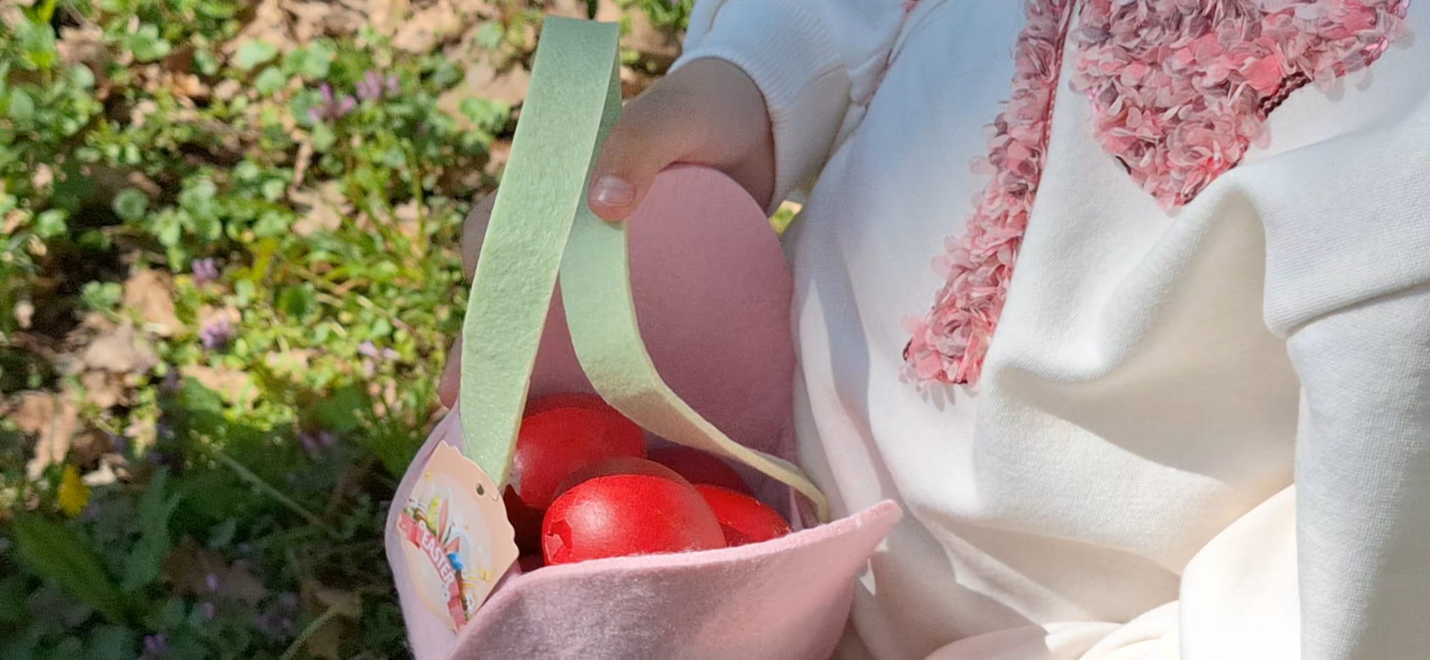 WhatsApp Image 2026-04-05 at 2.08.33 PM (2)