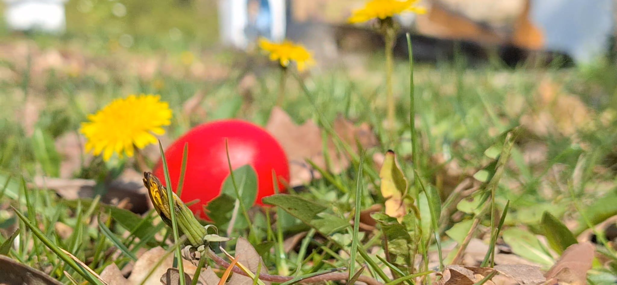 WhatsApp Image 2026-04-05 at 2.08.34 PM (1)