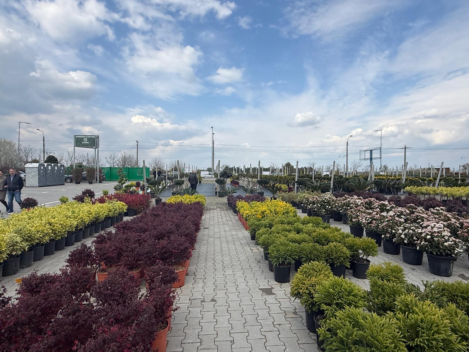 WhatsApp Image 2026-04-05 at 9.17.01 PM (2)