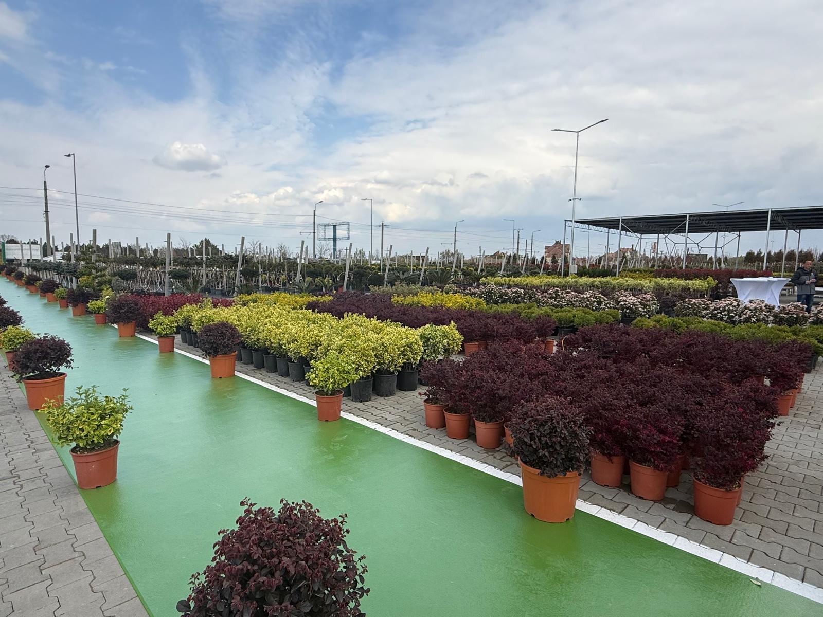 WhatsApp Image 2026-04-05 at 9.17.01 PM