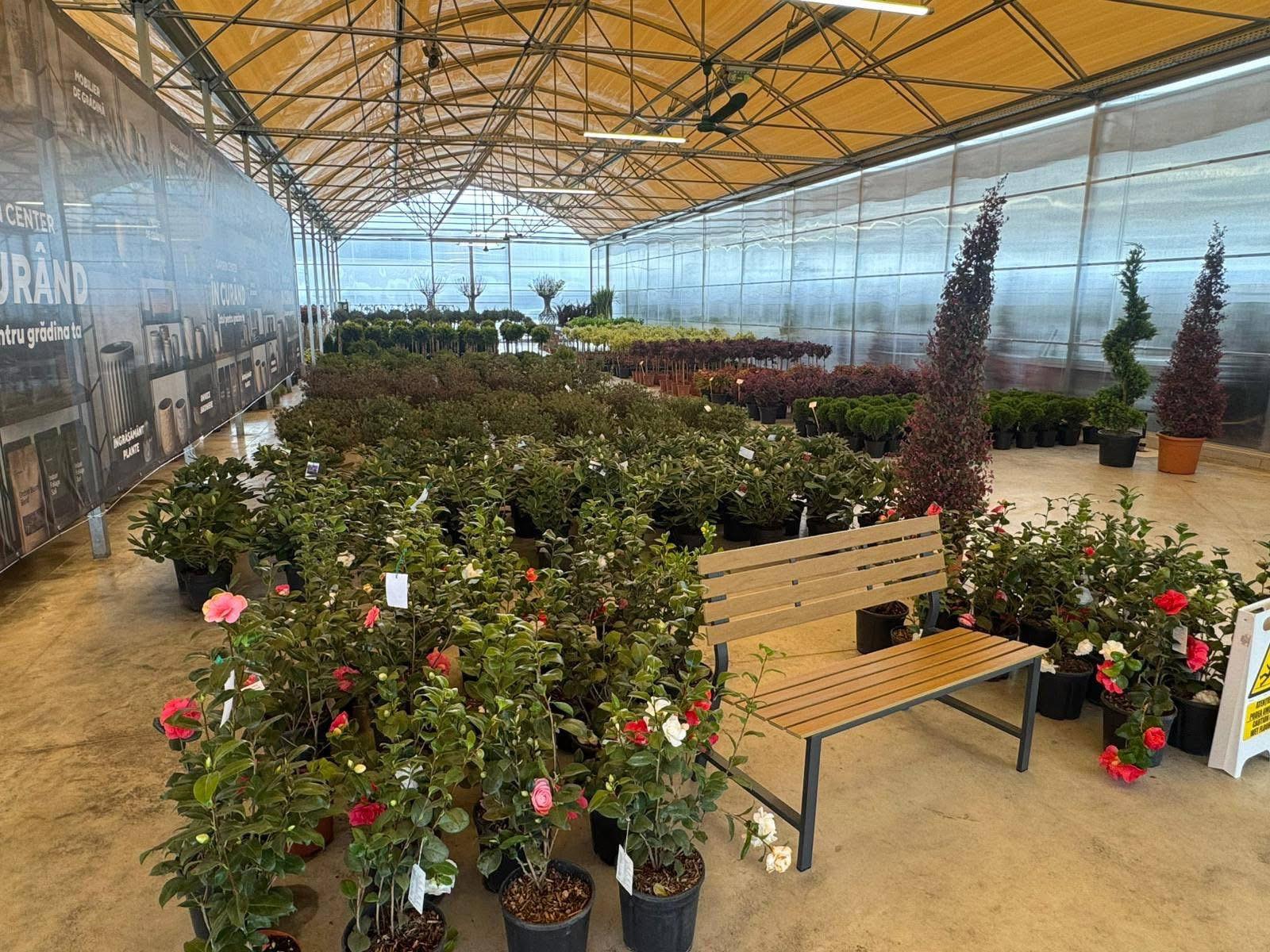 WhatsApp Image 2026-04-05 at 9.17.05 PM (4)