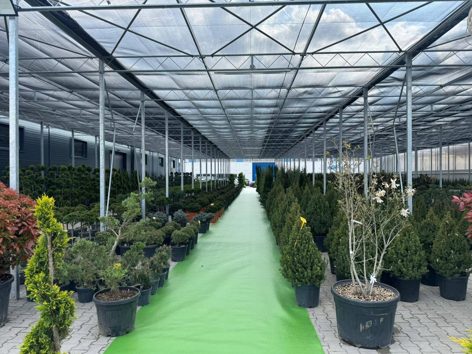 WhatsApp Image 2026-04-05 at 9.17.05 PM (5)