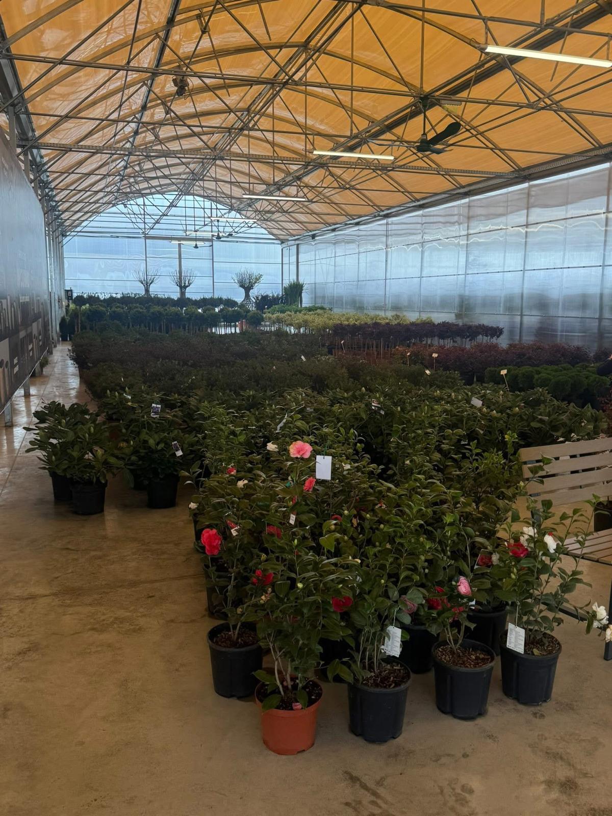 WhatsApp Image 2026-04-05 at 9.17.05 PM (8)