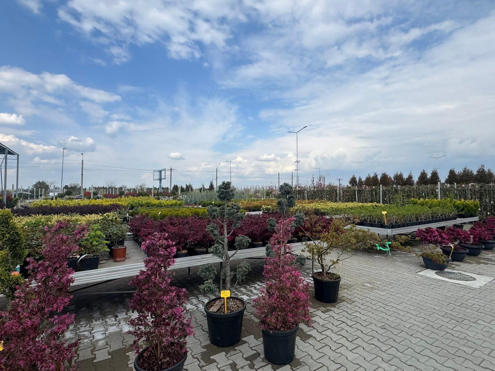 WhatsApp Image 2026-04-05 at 9.17.05 PM (9)