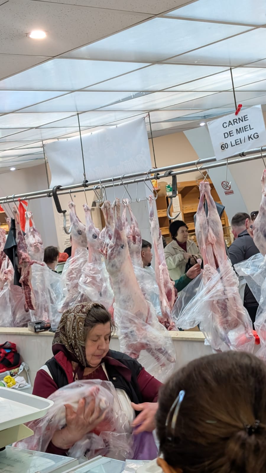 WhatsApp Image 2026-04-10 at 10.10.36 AM (2)