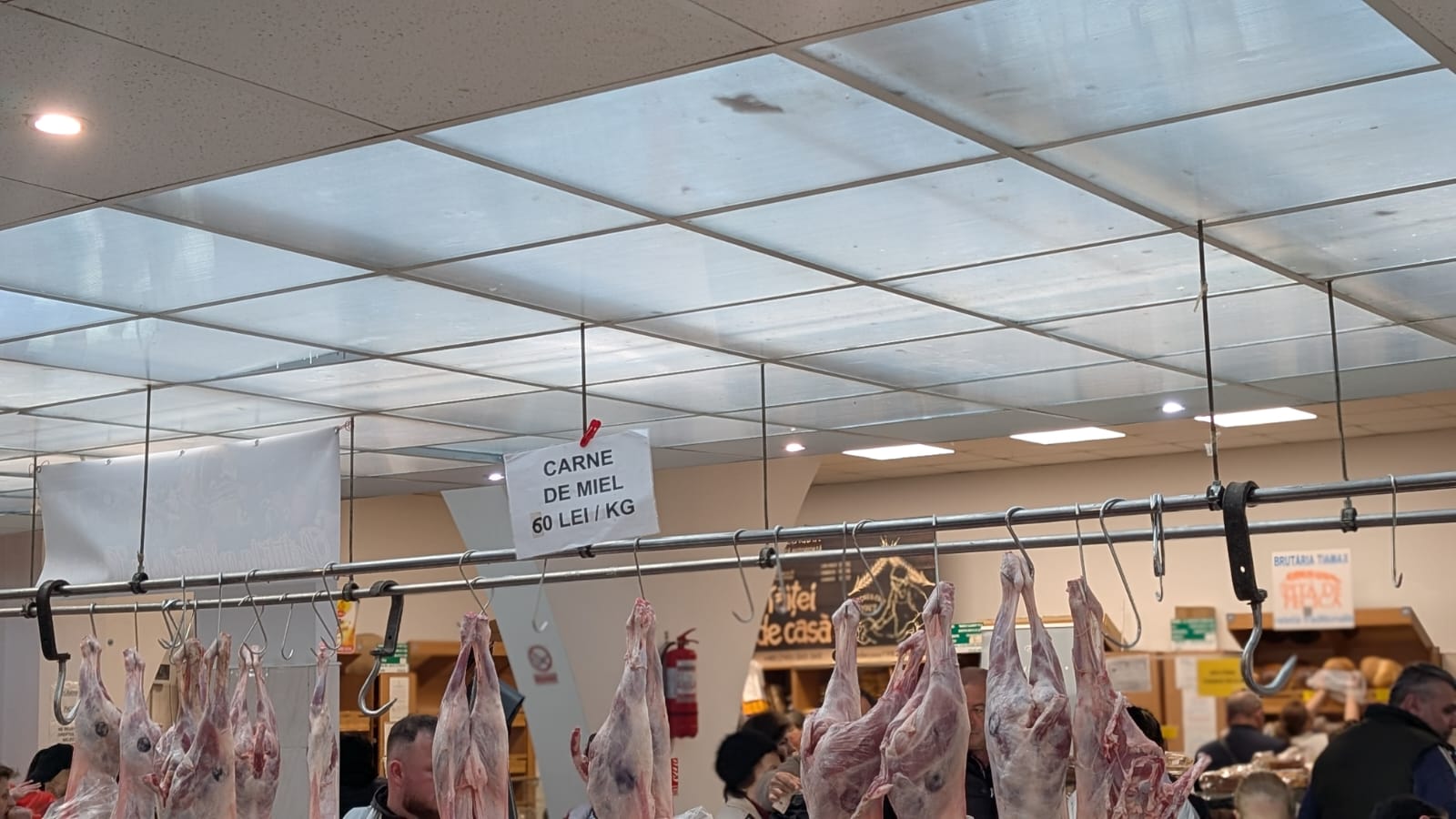 WhatsApp Image 2026-04-10 at 10.10.36 AM (3)