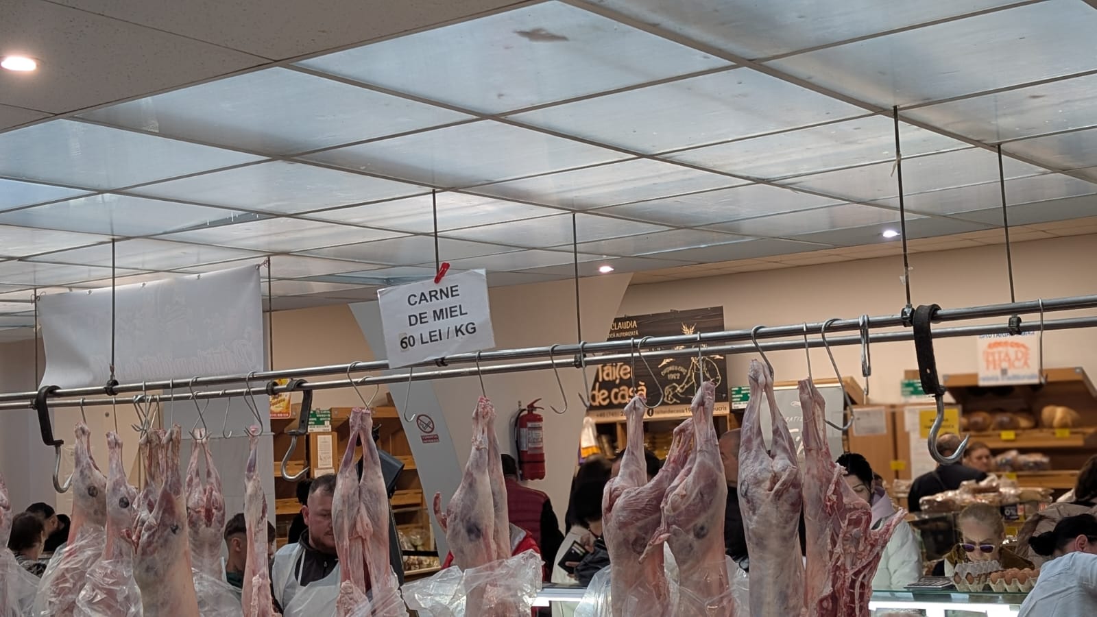 WhatsApp Image 2026-04-10 at 10.10.36 AM (4)