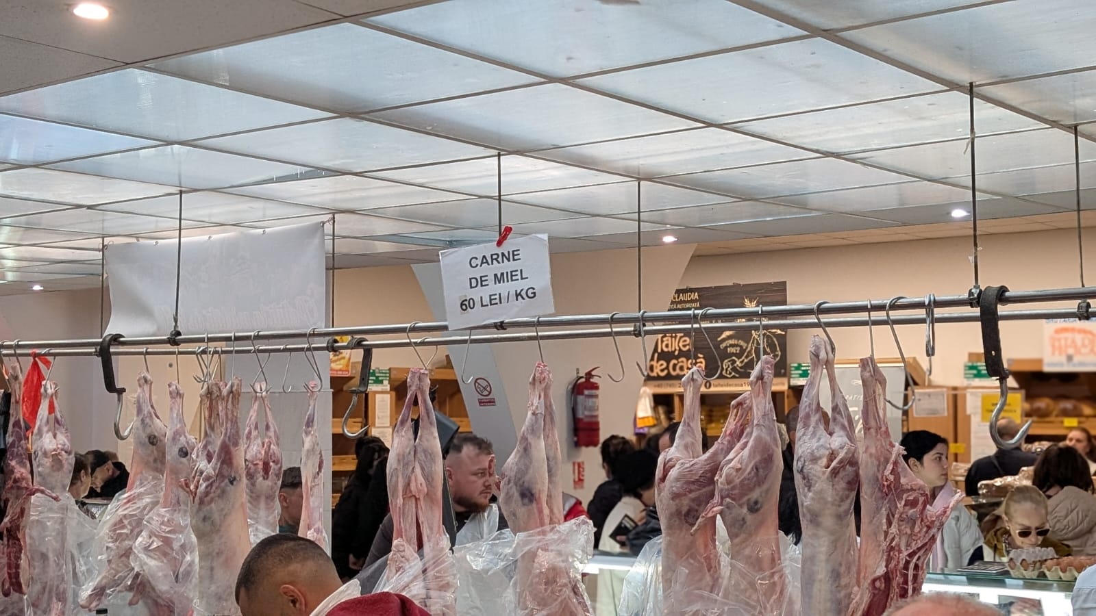 WhatsApp Image 2026-04-10 at 10.10.36 AM (5)