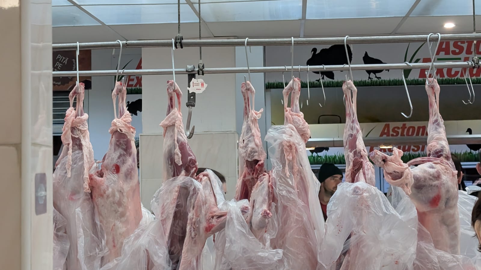 WhatsApp Image 2026-04-10 at 10.10.38 AM