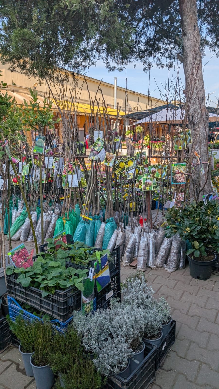 WhatsApp Image 2026-04-10 at 10.10.24 AM