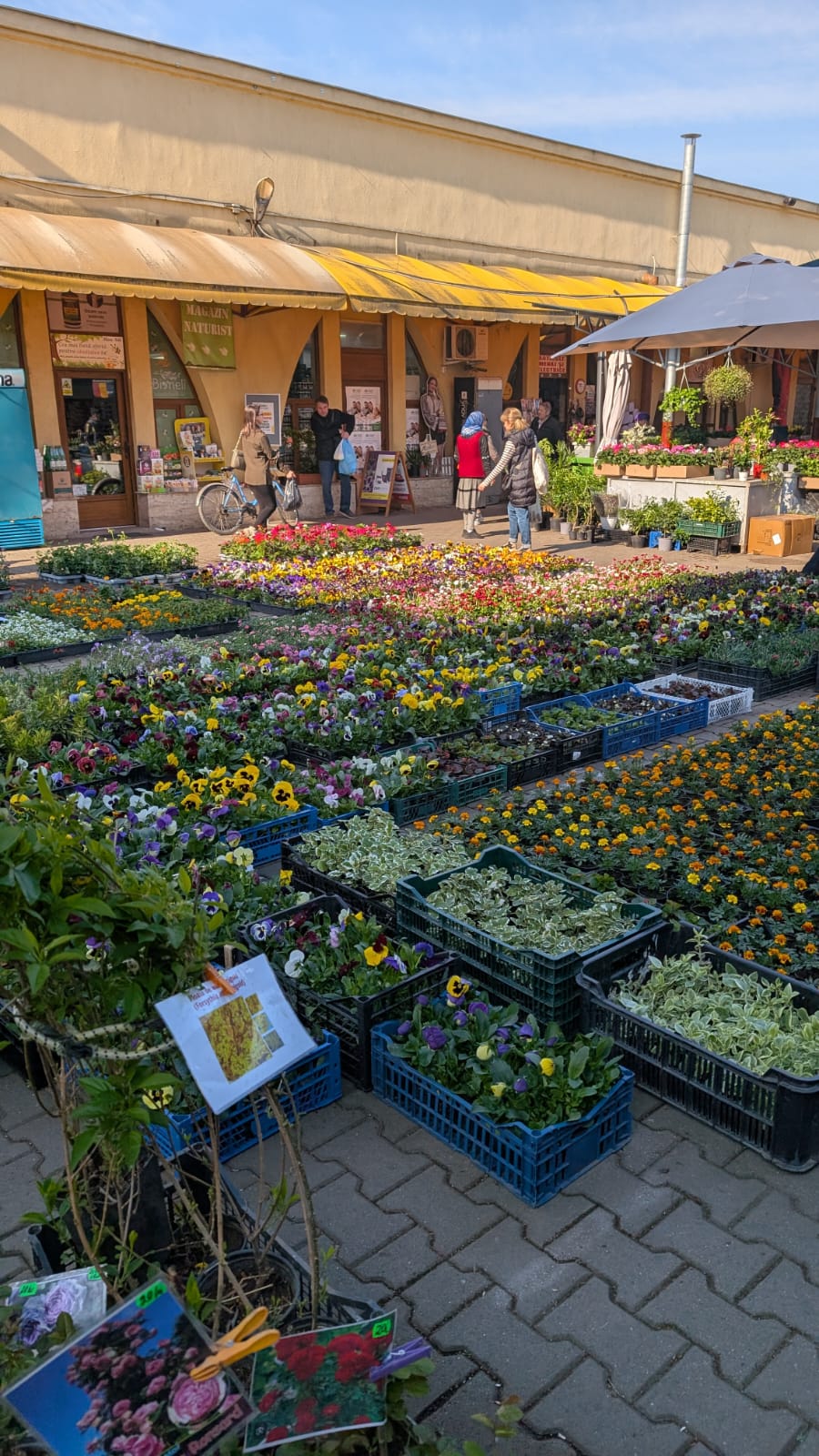 WhatsApp Image 2026-04-10 at 10.10.24 AM (1)