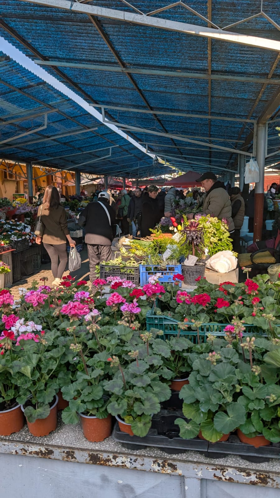 WhatsApp Image 2026-04-10 at 10.10.25 AM