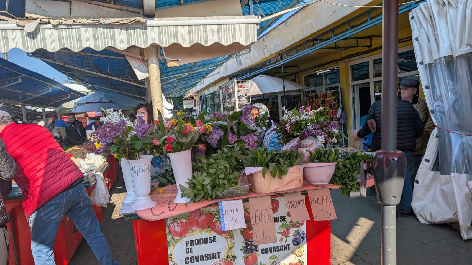 WhatsApp Image 2026-04-10 at 10.10.31 AM (1)