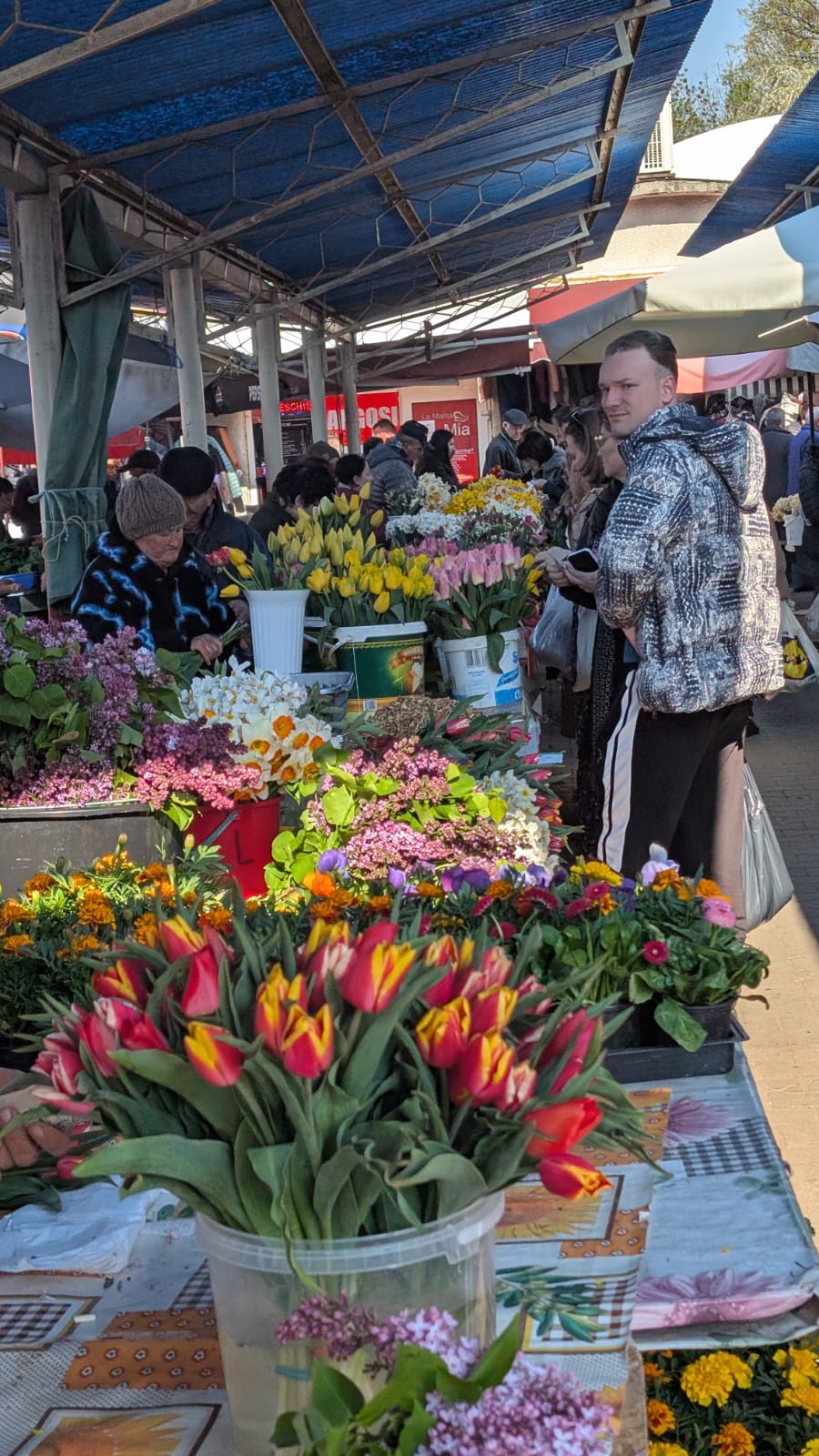 WhatsApp Image 2026-04-10 at 10.10.31 AM (2)