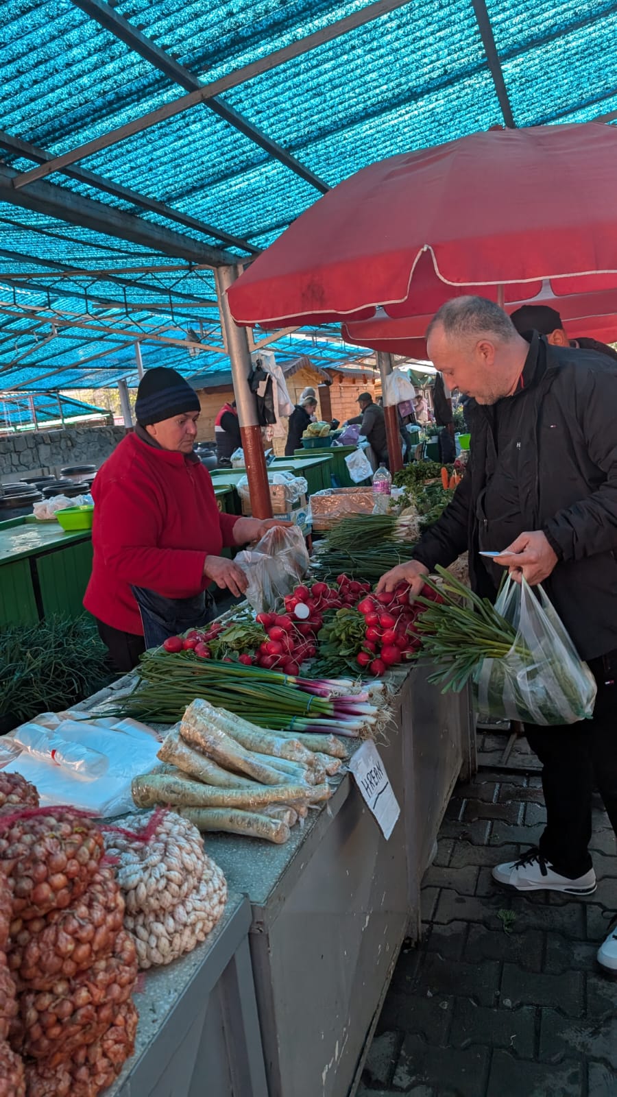 WhatsApp Image 2026-04-10 at 10.10.31 AM